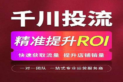 SEM外包服务应用案例分析